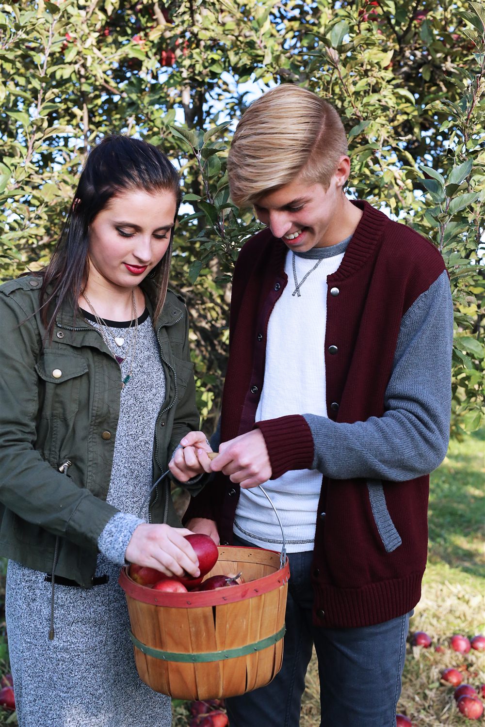 Orchard visitors filling a wooden basket with apples