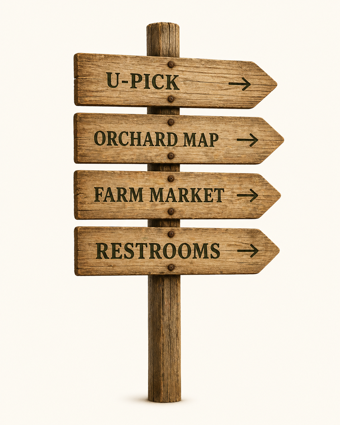 Rustic signpost in the orchard